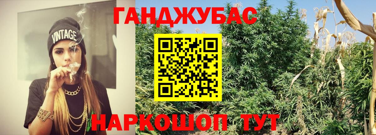 Бошки Шишки MAZAR  Шишки марихуана White Widow  Шишки марихуана план  Ярославль  Вход с VPN  Шишки марихуана OG Kush 